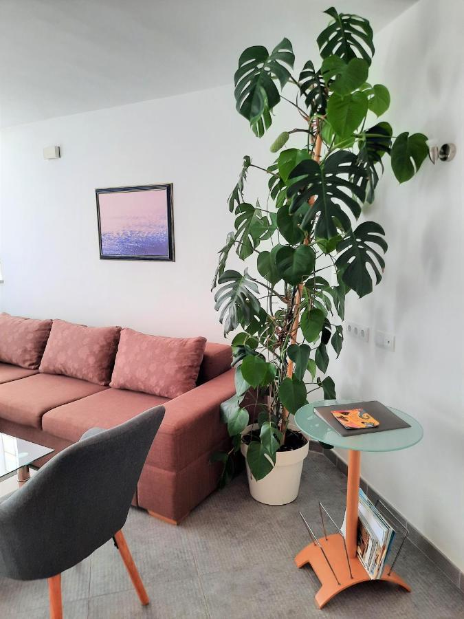 Apartment Mato Barbariga Exterior photo